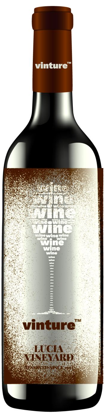 Botella TRAZO, corte de bonarda y malbec de Plano Viñedo