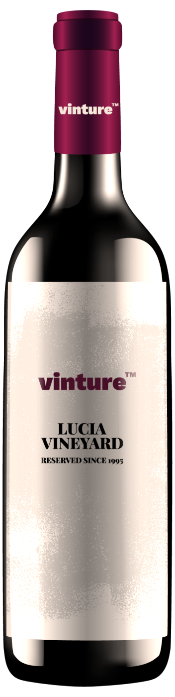 Botella LINFA, Chardonnay de Plano Viñedo