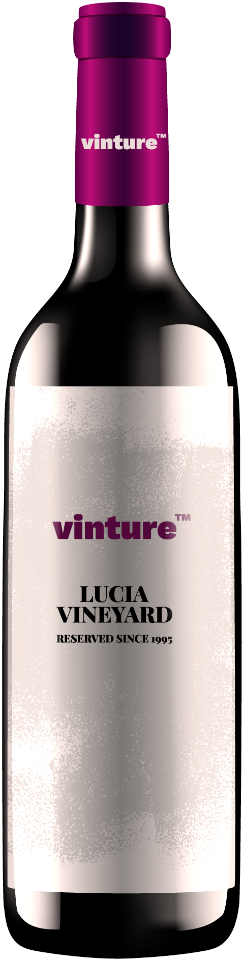 Botella ROCÍO, rosado de Plano Viñedo